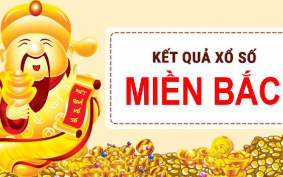 Dự đoán kết quả theo ngày